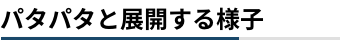 パタパタと展開する様子SP用画像